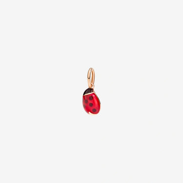 Dodo ciondolo coccinella